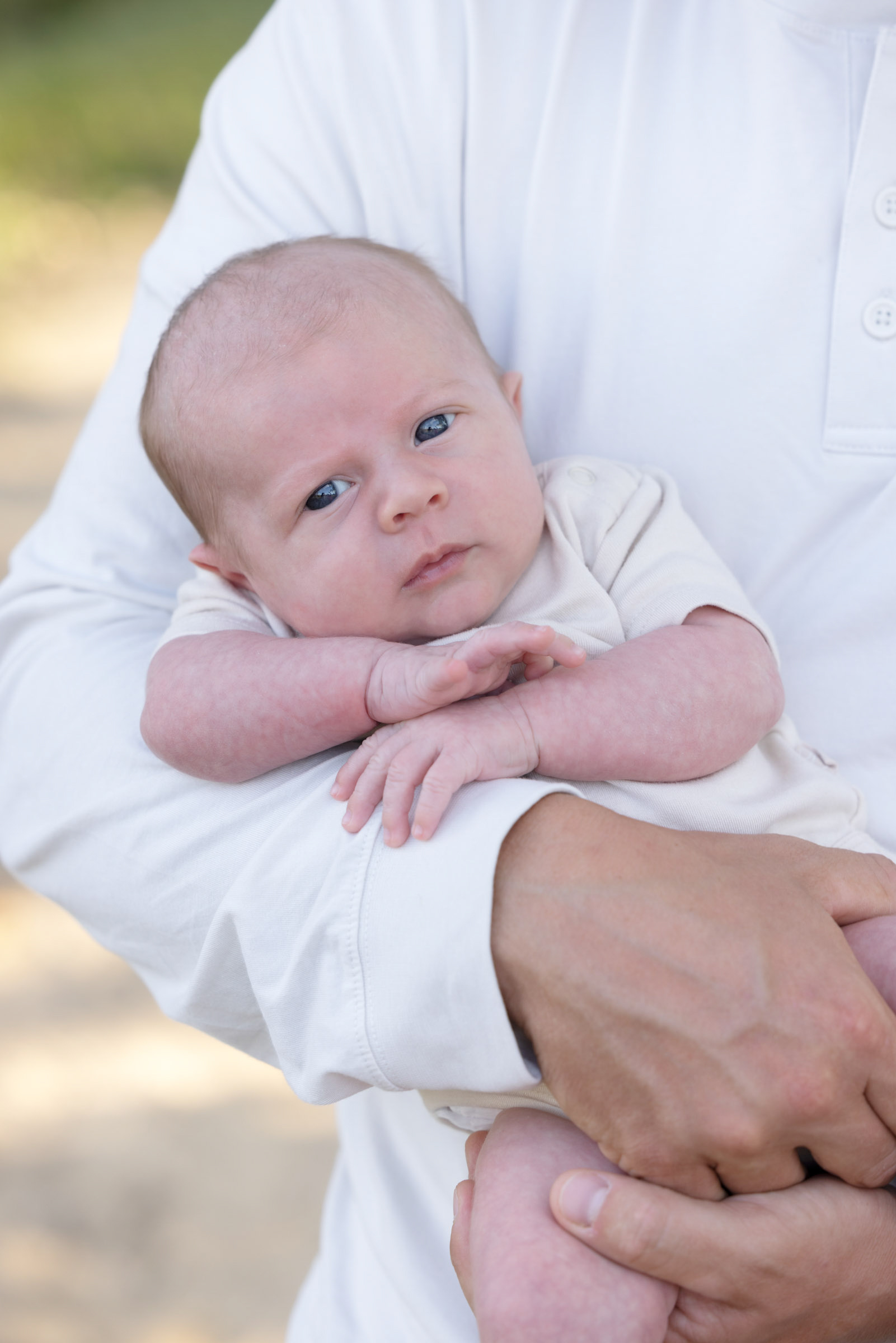Newborn baby resting in a parent's arms during a portrait session.